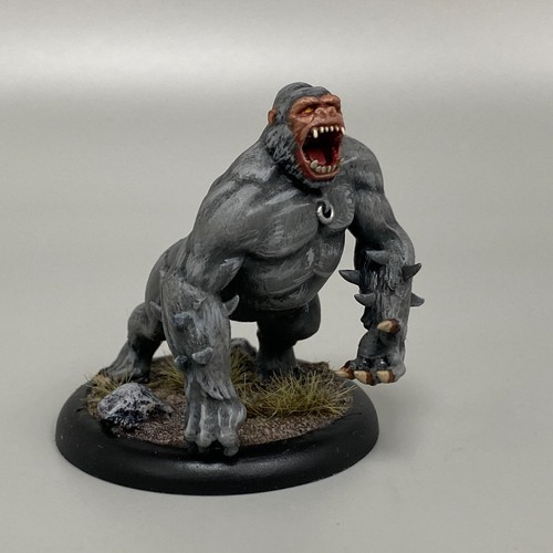 Malifaux wyr20309 cojo - malifaux,