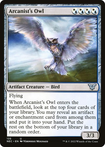 Arcanist owl commander - owl,