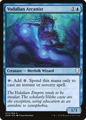 Vodalian arcanist dominaria - vodalian, [dominaria]